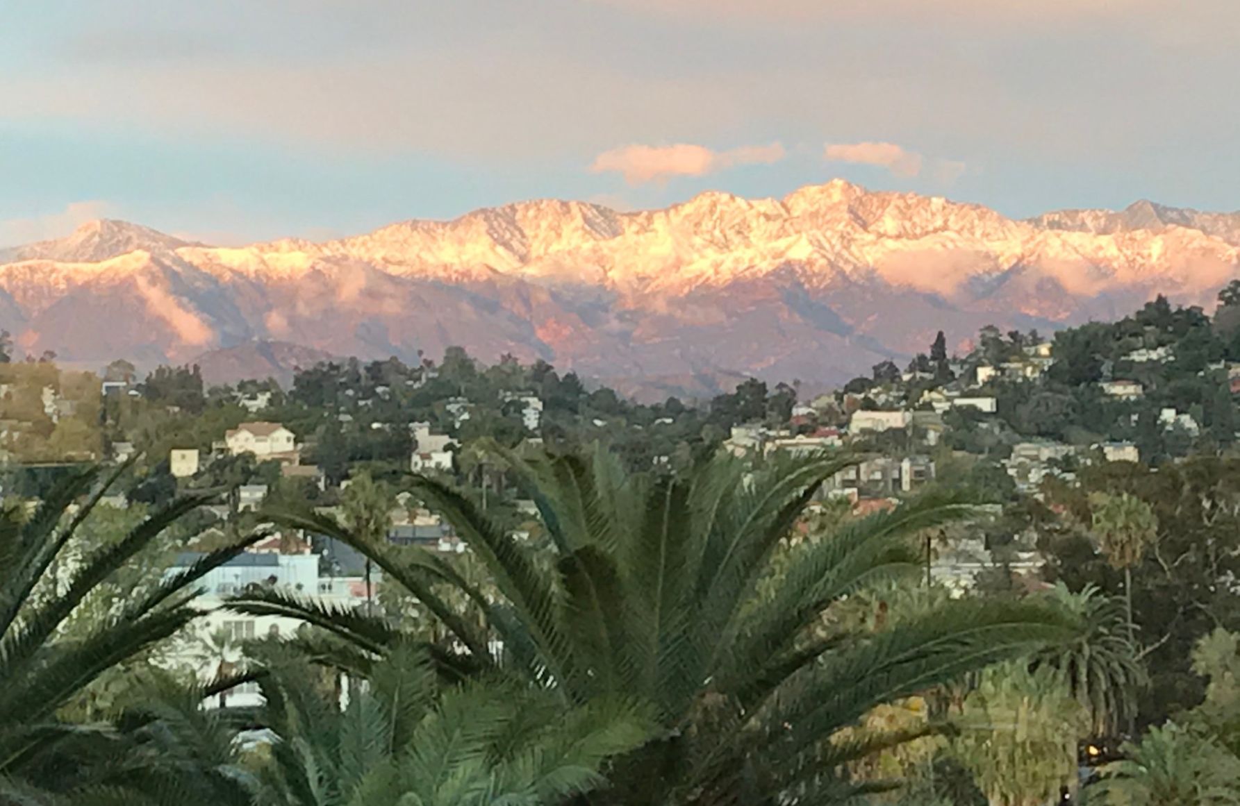 Winter Wonderland View